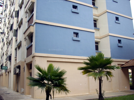 Blk 853 Nanyang Pearl (Jurong West), HDB 4 Rooms #432672